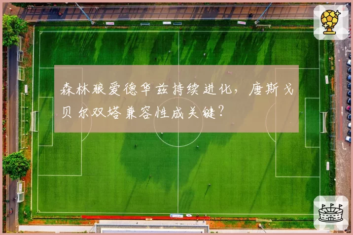 森林狼爱德华兹持续进化，唐斯戈贝尔双塔兼容性成关键？
