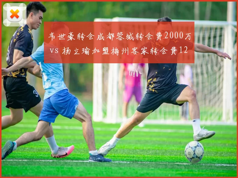 韦世豪转会成都蓉城转会费2000万 vs 杨立瑜加盟梅州客家转会费1200万，边路攻击手价值差距