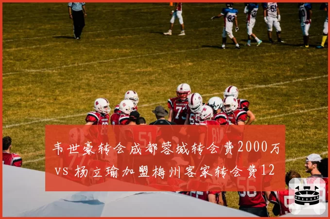 韦世豪转会成都蓉城转会费2000万 vs 杨立瑜加盟梅州客家转会费1200万，边路攻击手价值差距