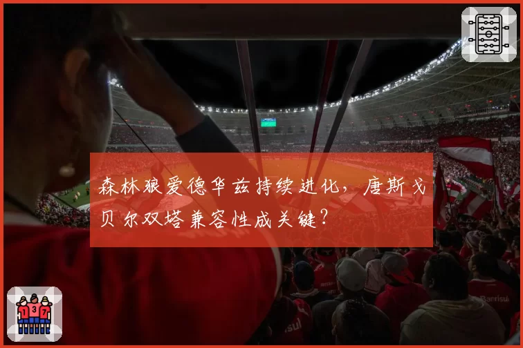 森林狼爱德华兹持续进化，唐斯戈贝尔双塔兼容性成关键？