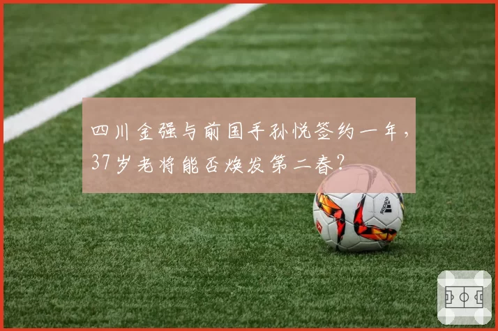 四川金强与前国手孙悦签约一年，37岁老将能否焕发第二春？